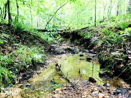 Recreational Property in Carroll County, Georgia