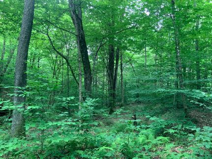 Commercial Property in Oswego County, New York