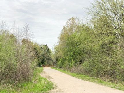 Timberland Property in Bowie County, Texas