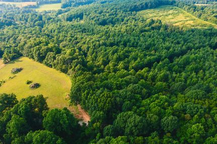 Undeveloped Land in Floyd County, Virginia