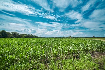 Land in Burlington County, New Jersey