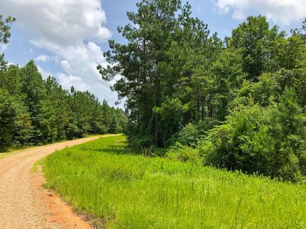 Timberland Property in Nacogdoches County, Texas