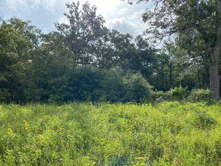 Undeveloped Land in Houston County, Texas