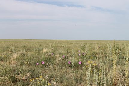 Farm and Ranch in Lincoln County, Colorado