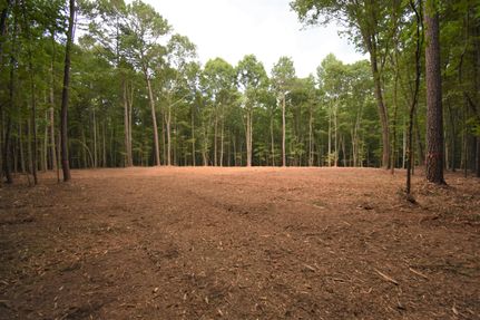 Recreational Property in Oglethorpe County, Georgia