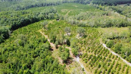 Land in Hamilton County, Florida