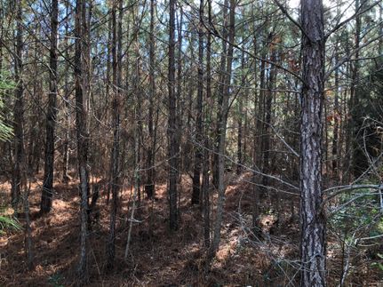 Land in Jasper County, Mississippi