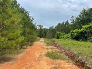 Farm and Ranch in Jones County, Mississippi