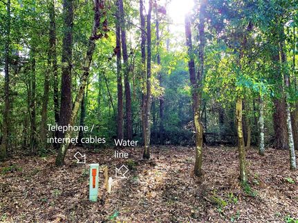 Timberland Property in Tyler County, Texas