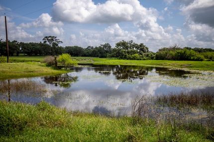 Land in Dewitt County, Texas