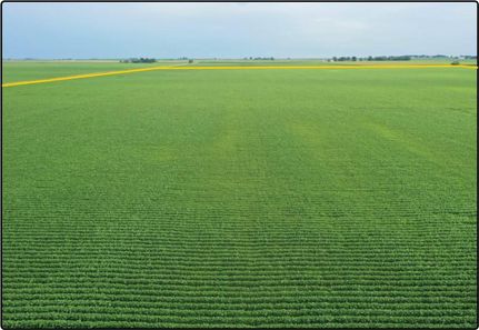 Farm and Ranch in LaSalle County, Illinois