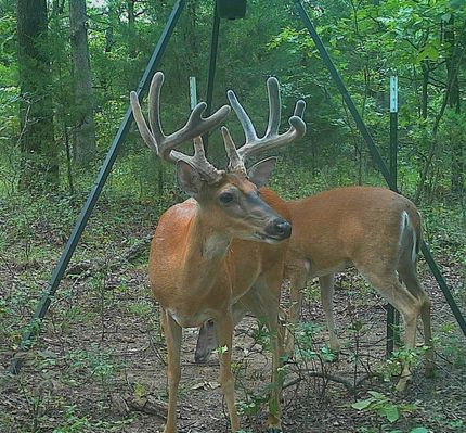 Land in Pittsburg County, Oklahoma