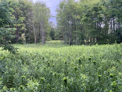 Timberland Property in Venango County, Pennsylvania