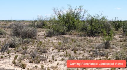 Undeveloped Land in Luna County, New Mexico