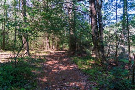 Waterfront Property in Sullivan County, New York