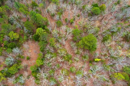Recreational Property in Le Flore County, Oklahoma