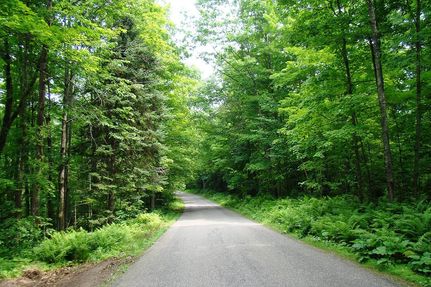 Timberland Property in Forest County, Wisconsin