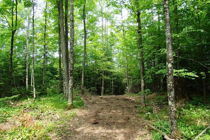Farm and Ranch in Forest County, Wisconsin
