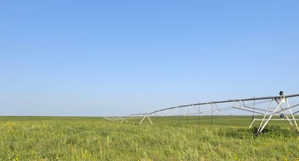 Timberland Property in Lamb County, Texas