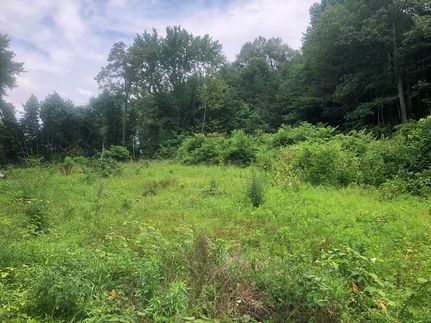 Undeveloped Land in Washington County, Virginia