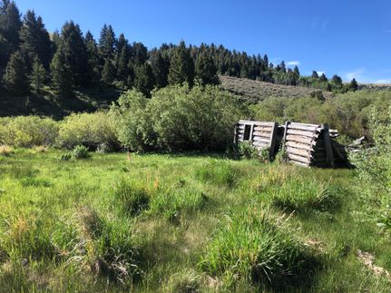 Undeveloped Land in Beaverhead County, Montana