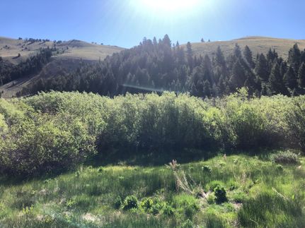 Farm and Ranch in Beaverhead County, Montana
