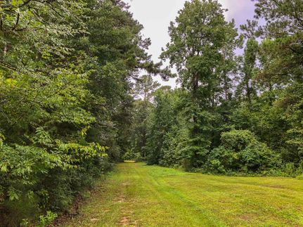 Undeveloped Land in San Jacinto County, Texas