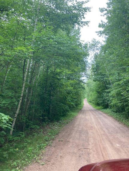 Homesite in Crow Wing County, Minnesota