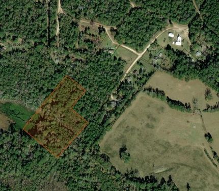 Hunting Property in Polk County, Texas