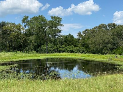 Recreational Property in Leon County, Texas