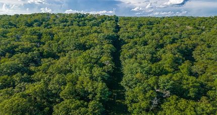 Timberland Property in Adams County, Ohio