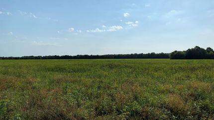 Undeveloped Land in Lamar County, Texas