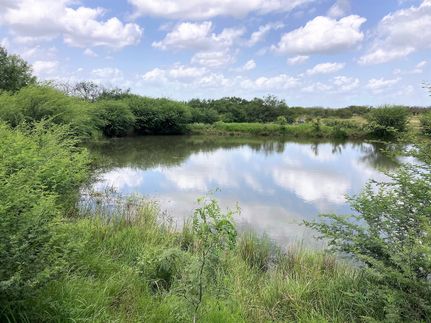 Recreational Property in Karnes County, Texas