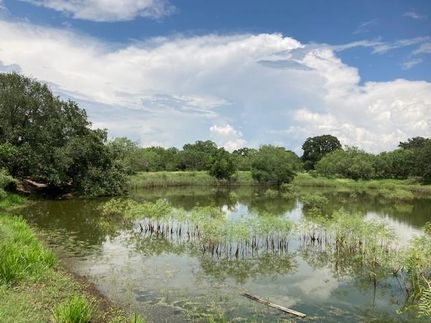 Timberland Property in Bexar County, Texas