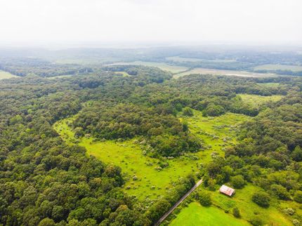 Farm and Ranch in Fayette County, Illinois