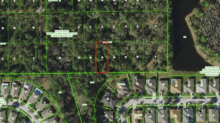 Undeveloped Land in Pasco County, Florida