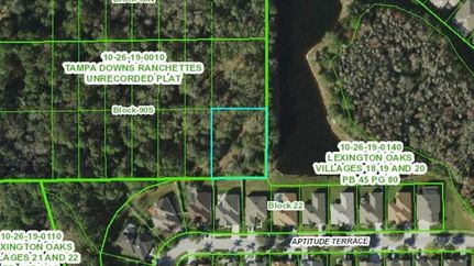 Undeveloped Land in Pasco County, Florida