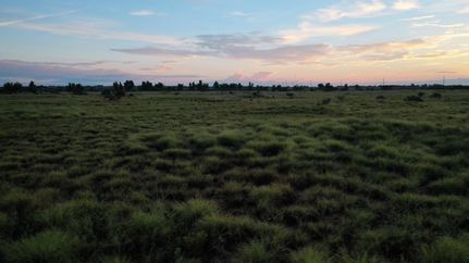 Farm and Ranch in King County, Texas