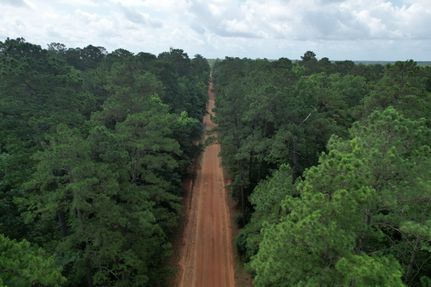 Farm and Ranch in Polk County, Texas