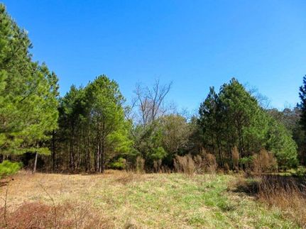 House in McDuffie County, Georgia