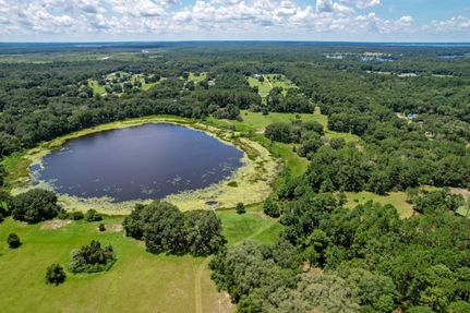 Undeveloped Land in Marion County, Florida