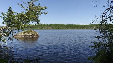 Undeveloped Land in Aroostook County, Maine