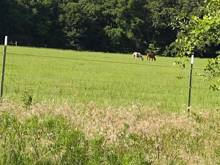 Farm and Ranch in Bullock County, Alabama
