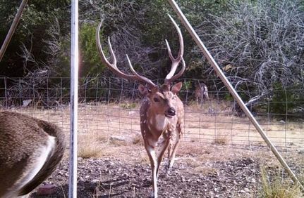 Recreational Property in Edwards County, Texas
