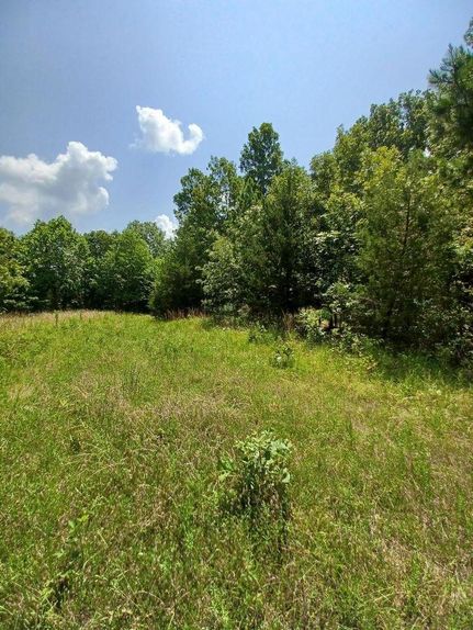 Recreational Property in Shannon County, Missouri