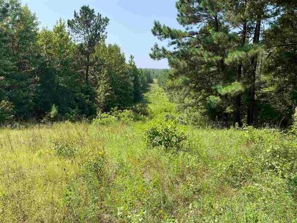 Farm and Ranch in Harrison County, Texas