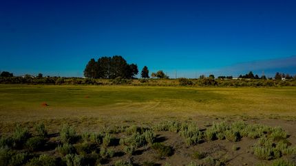 Timberland Property in Lake County, Oregon