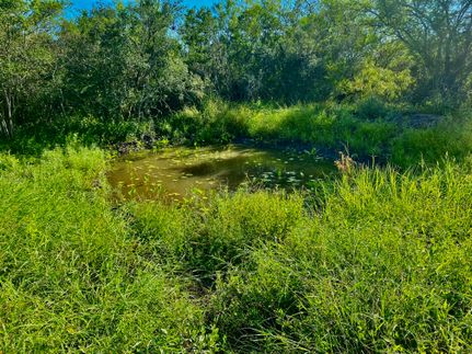 Recreational Property in Jim Wells County, Texas