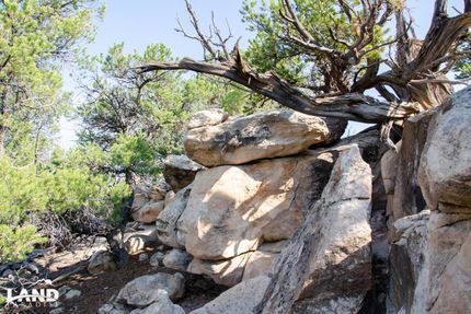 Timberland Property in Duchesne County, Utah