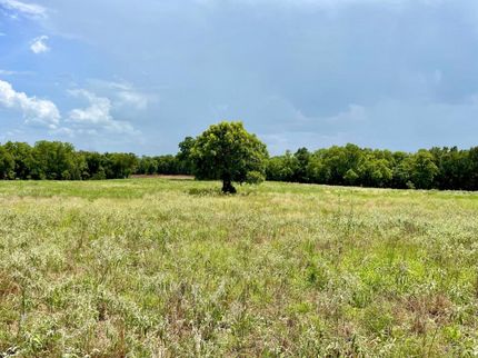 Farm and Ranch in Parker County, Texas
